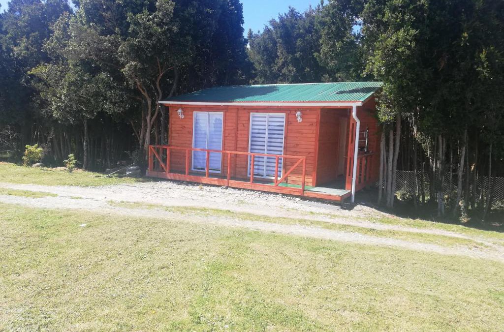 Lenca House | Cabaña entre árboles Carretera Austral