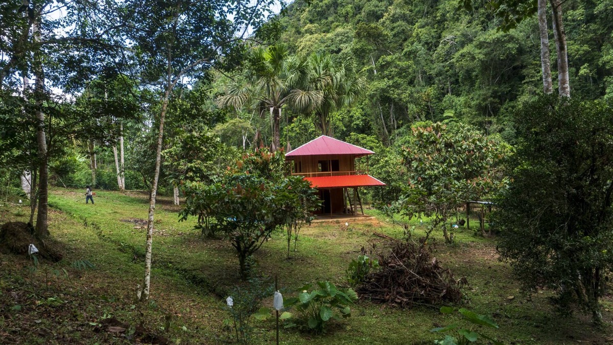 Pueblo Nuevo Cabin | Cabaña Familiar en el Bosque Amazónico. Ideal Para Desconectar de la Tecnología