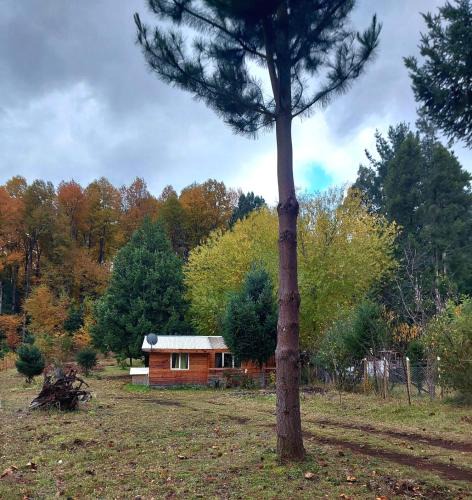 Melipeuco Apartment | Cabaña May Pao, para 3 en Melipeuco cerca del Parque Nacional Conguillio