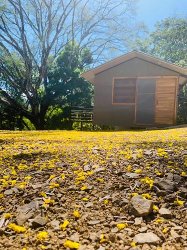 Santa Barbara Cabin | Cabañas del Bosque