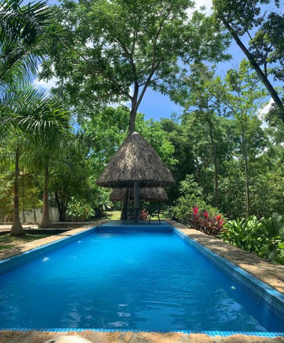 Palenque House | Cabañas Maya Rue