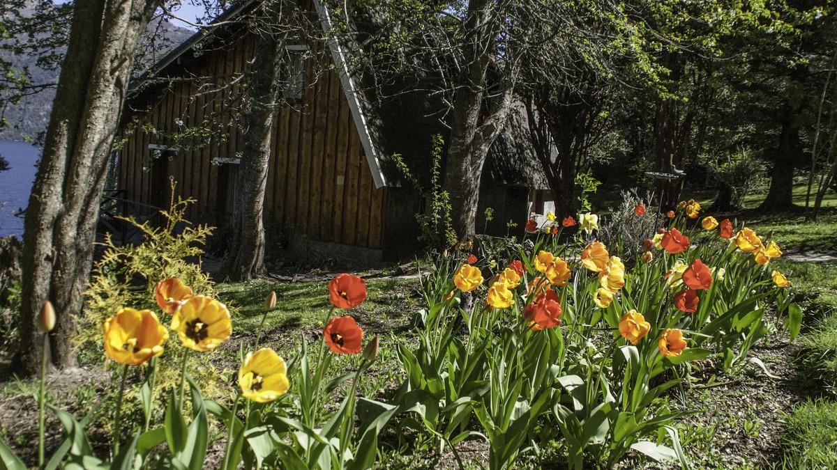 San Carlos de Bariloche Cabin | Cabañas Villa Pañil