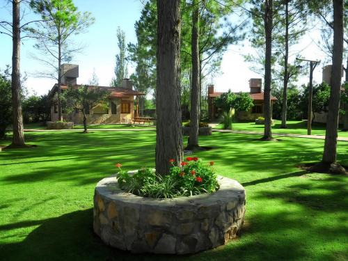 Mina Clavero Cabin | CABAÑAS VIEJO VIVERO