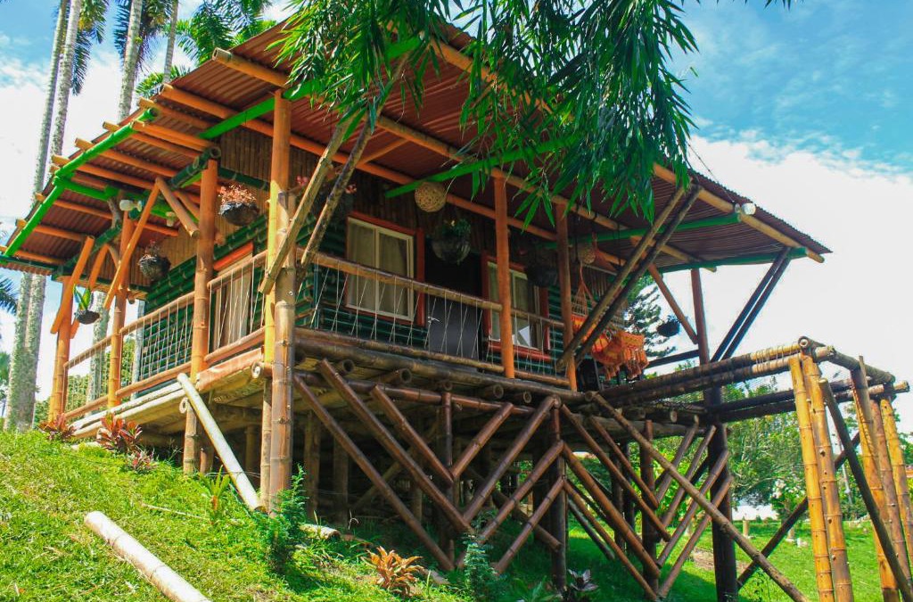 Pereira Cabin | Cabaa Type Glamping - with swimming pool