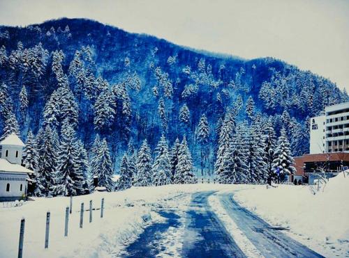 Slanic-Moldova House | Cabană B&M