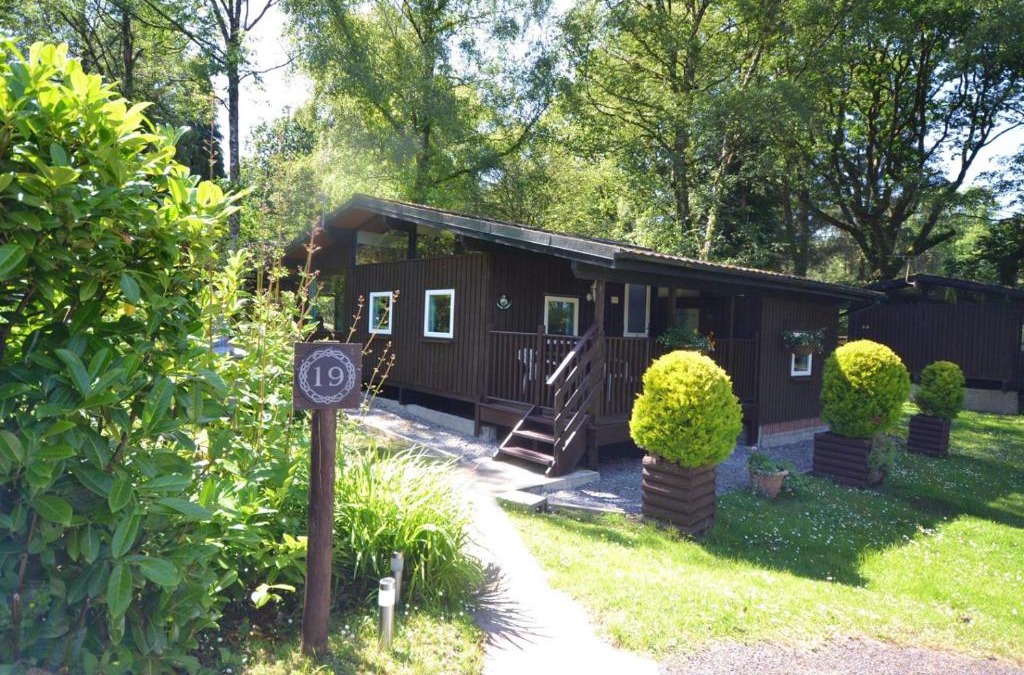 Cenarth House | Caban Coetir