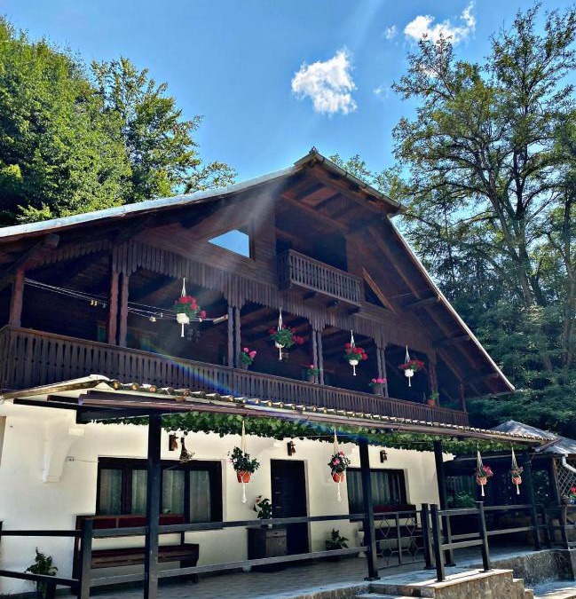 Bradulet House | Cabana Brădetu-Montway