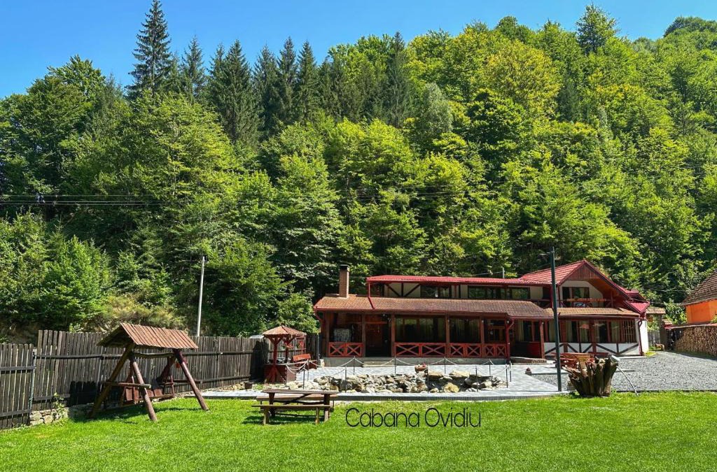 Sadu House | Cabana Ovidiu