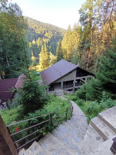 Arefu Cabin | Cabana Zimbru Transfagarasan
