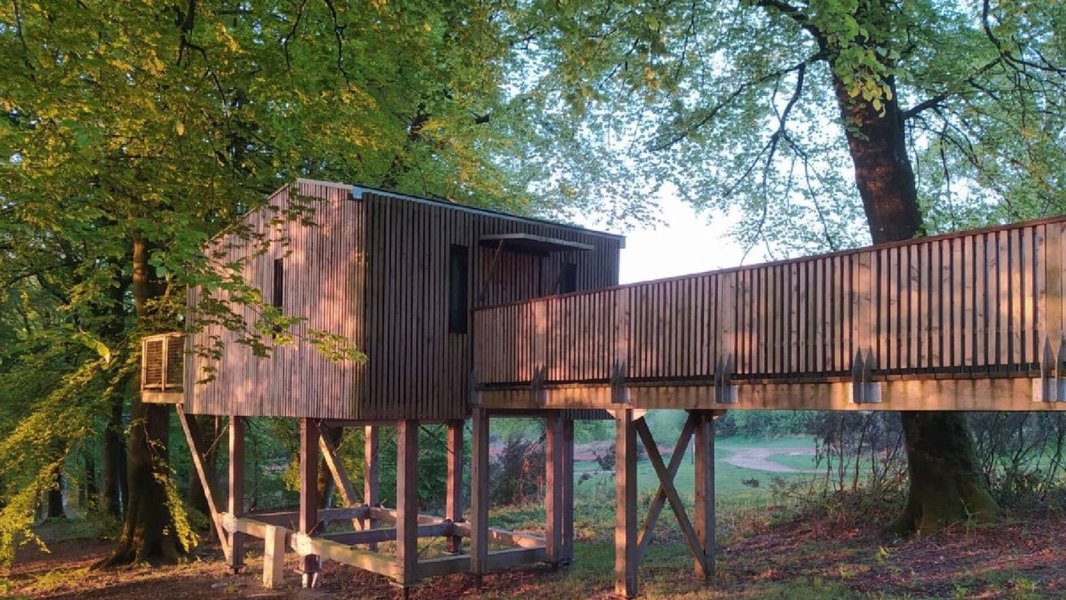 Noues de Sienne Hotel | CABANE DANS LES ARBRES (4m) & SPA privatif 4/5 pers adapted PMR