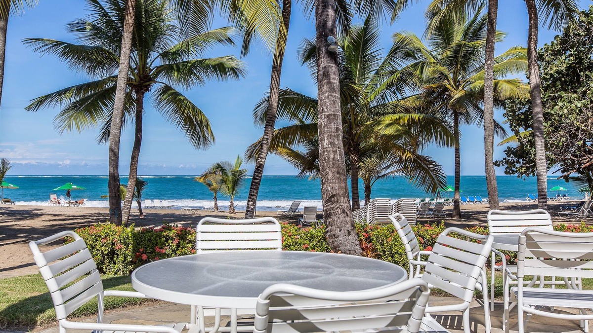 Cabarete Hotel | Cabarete Palm Beach Condos