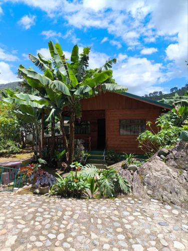 Orosi Apartment | Cabin in Orosi