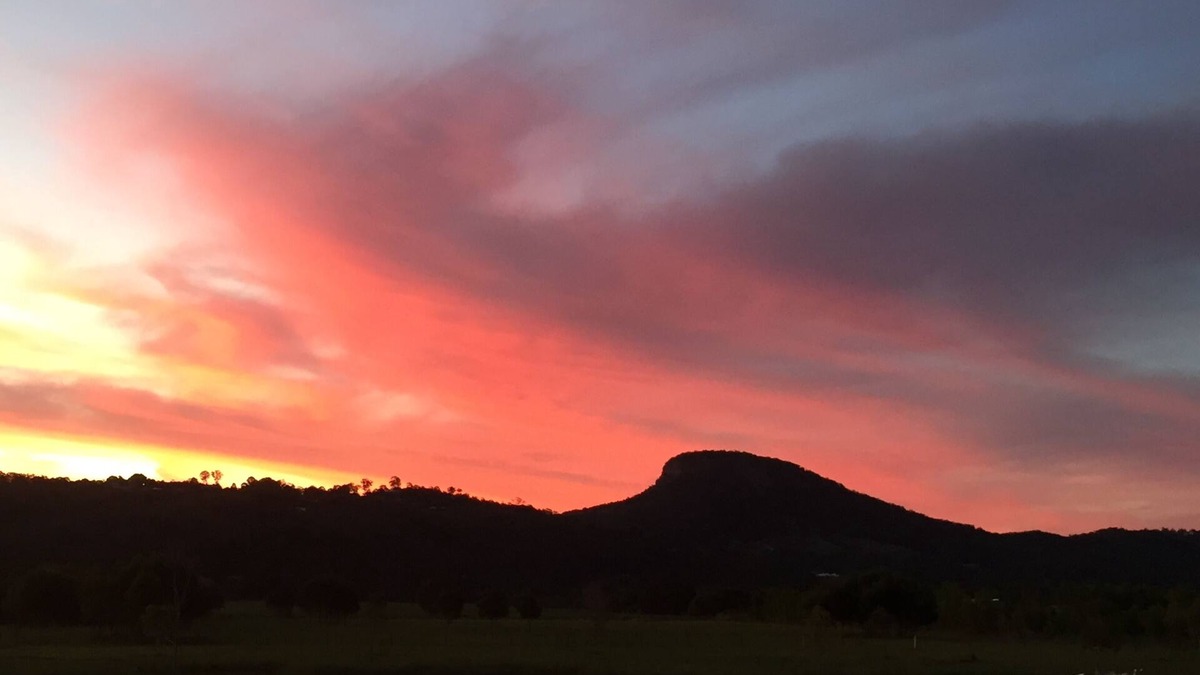 Maroochy River Cabin | Cabin in the dam paddock, 10 min to the beach.