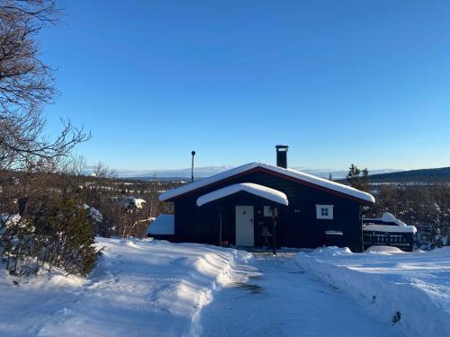 Vestre Slidre House | Cabin in the Mountain, Outstanding View & Solar Energy