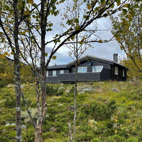 Nore og Uvdal House | Cabin In Uvdal With A View Ski-Inout