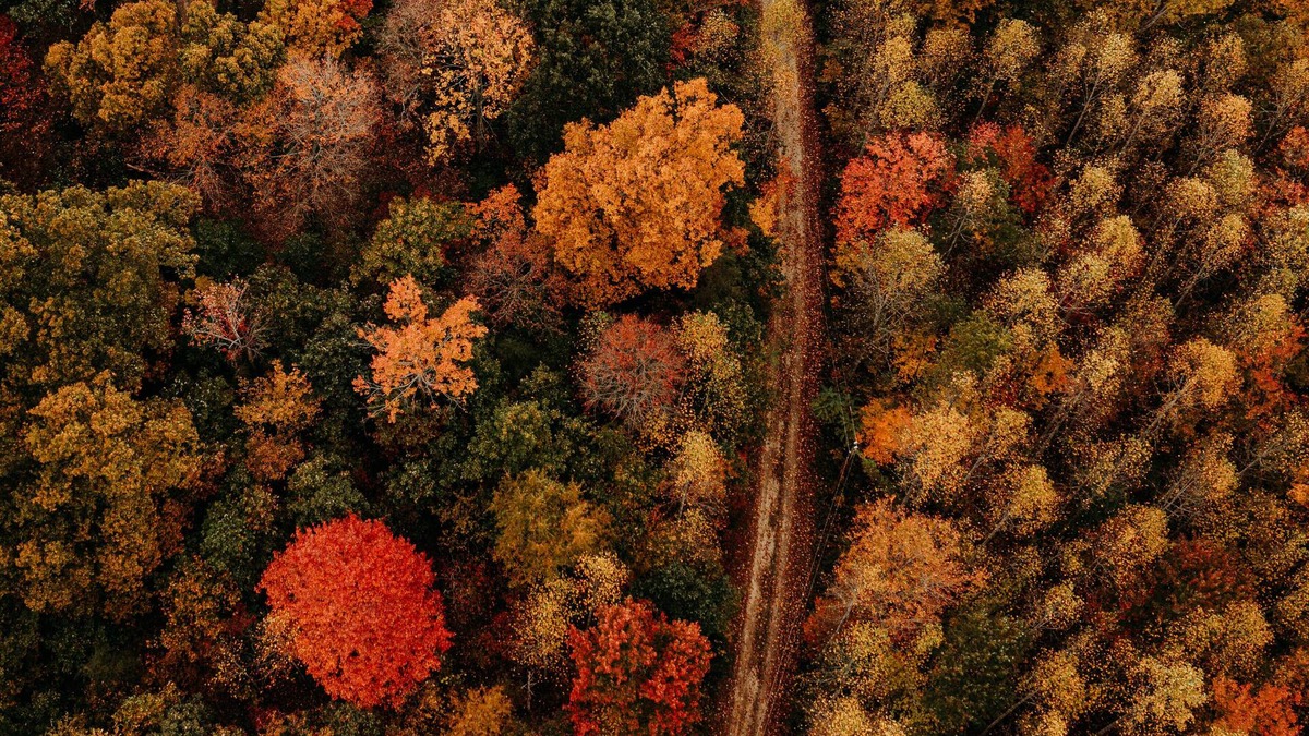 Wellington Cabin | Cabin near RRG & Cave Run Lake!