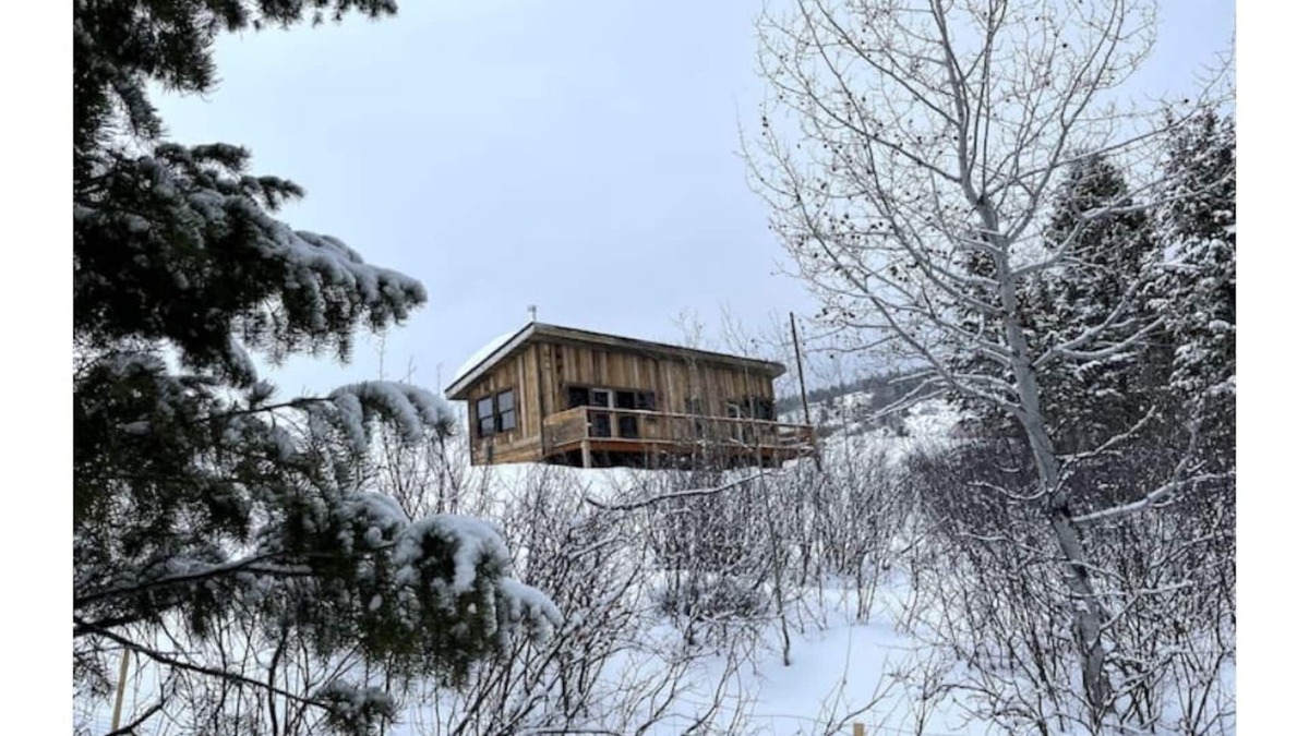 Victor Cabin | Cabin on the Creek
