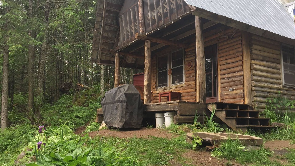 Brudenell Cabin | CABIN overlooking pond + HIKING to waterfalls & lookouts (completely off-grid)