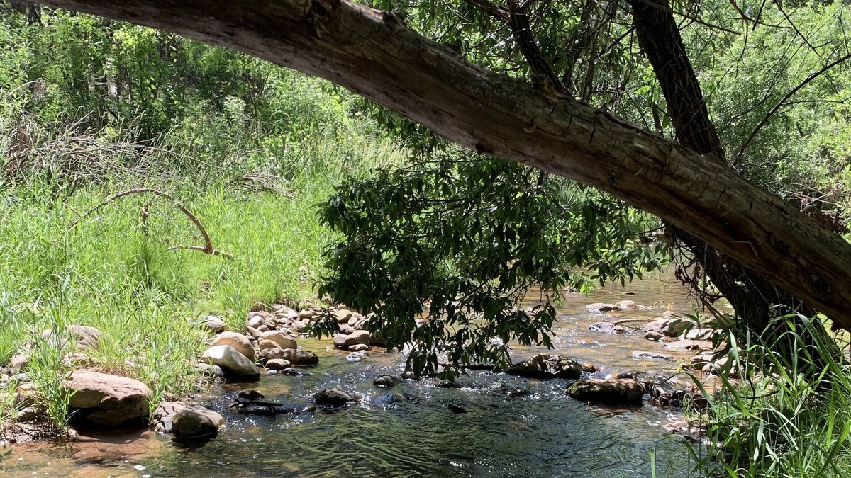 Kohls Ranch House | Cabin overlooking Tonto Creek across from Tonto National Forest