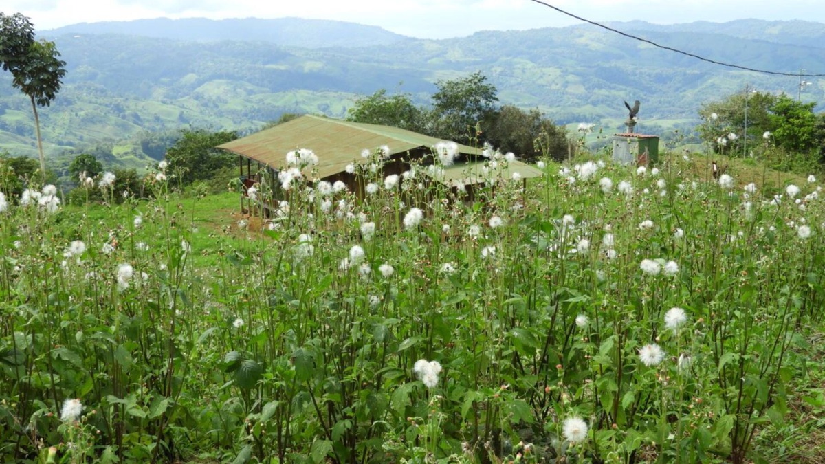 Cascada Azul Cabin | Cabin with an incredible forest view