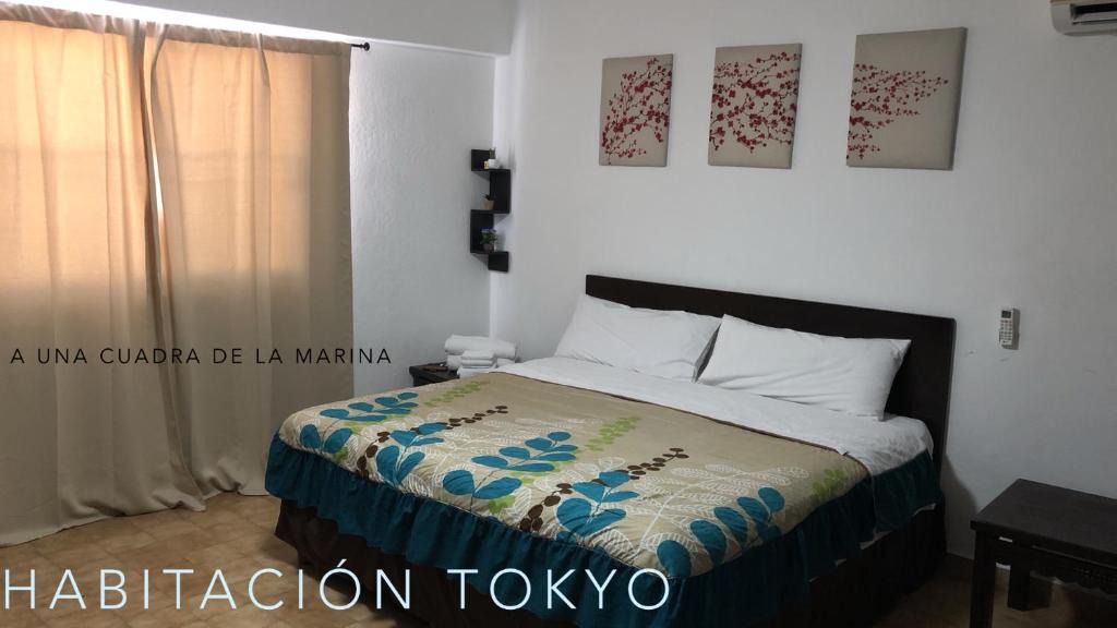 Centro Hotel | Cabo Tortuga Hotel Boutique