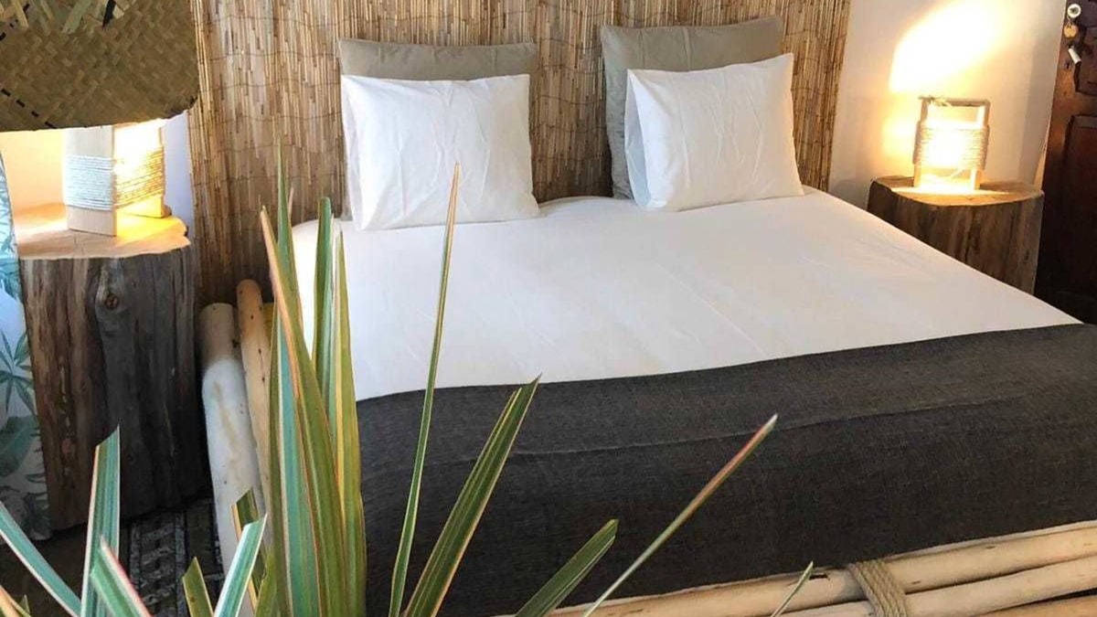 Las Palmas de Gran Canaria House | Cactus Host