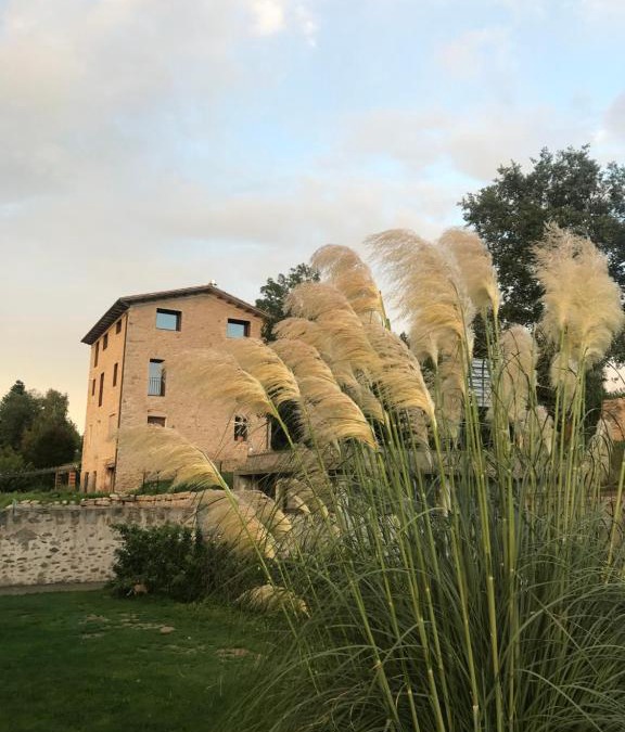 Sant Pau de Seguries Apartment | CAL FUSTER