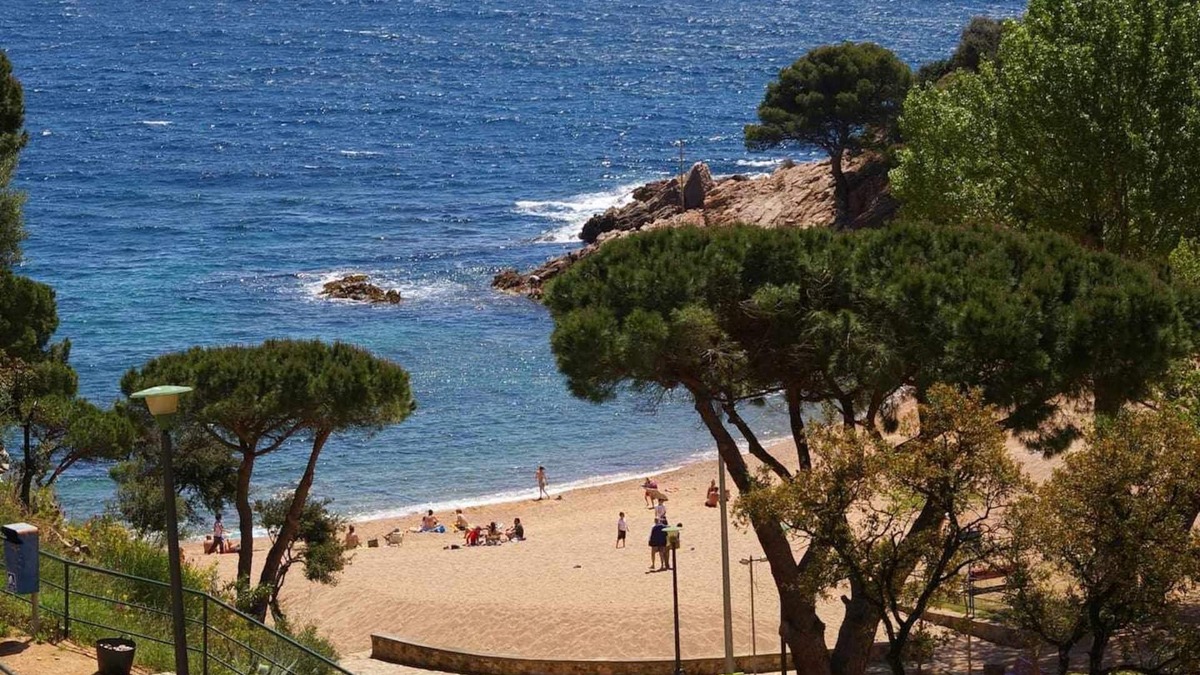 Salionc Apartment | Cala Salionç 12 1ªlinea de Mar, A/C