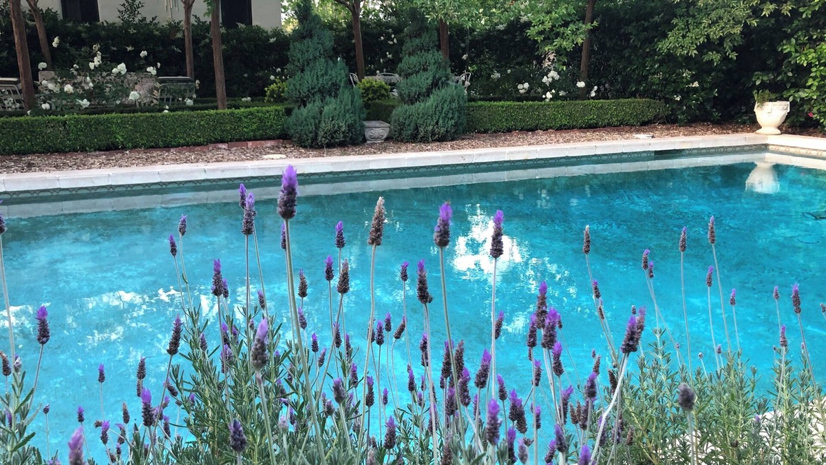 Bonita House | California Sol Historic Private Home w/Pool