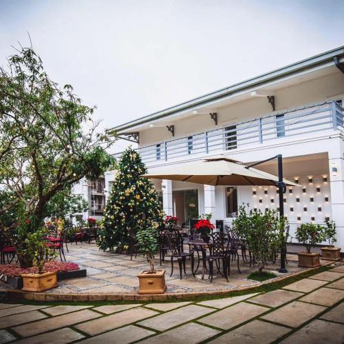 Da Lat Hotel | Camellia Villa Đà Lạt