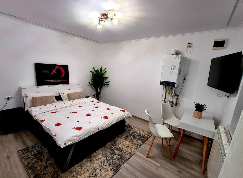 Comanesti Apartment | Camera/garsoniera in regim hotelier