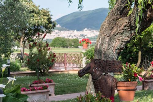 Santa Maria degli Angeli Bed & Breakfast | Camere Mariella