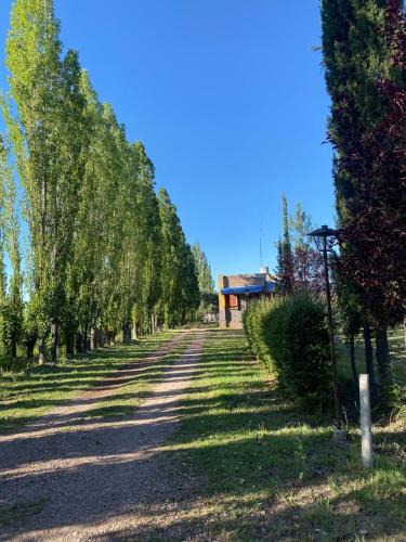 San Rafael Cabin | Camino al Valle