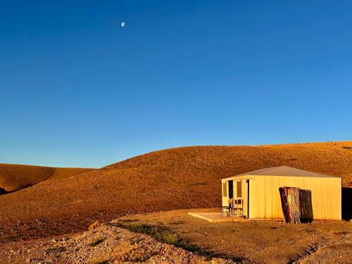 Nzala Other | Camp Cameleon