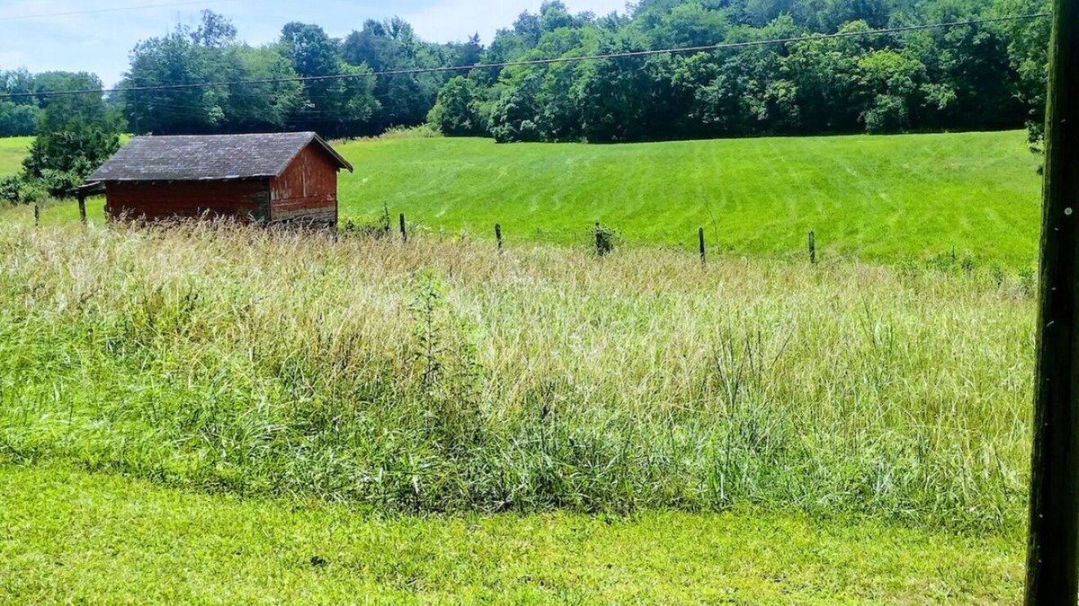 Killen House | Camp Creek Cottage 3br, 2ba w Outdoor Tent & Grill