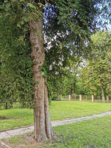Jelgava Other | Camper and tent place in Jelgava