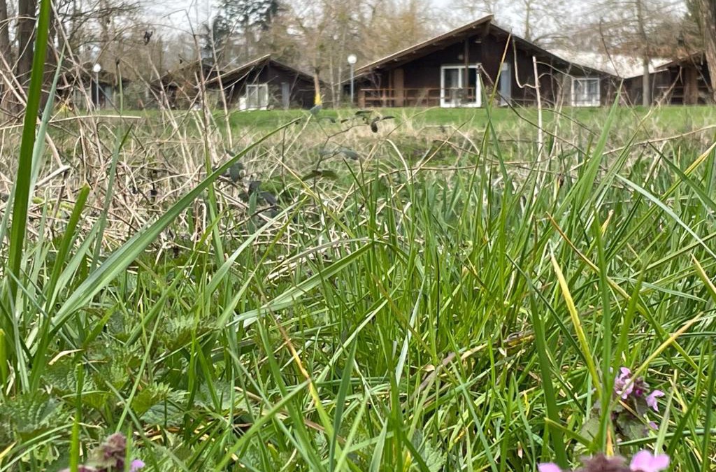 Saint-Didier-sur-Chalaronne Other | CAMPING DE LA CHALARONNE