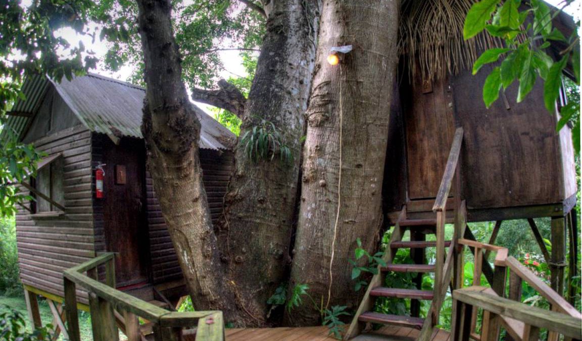 Bullet Tree Falls Other | Camping ∙ 1 bedroom ∙ 2 guests