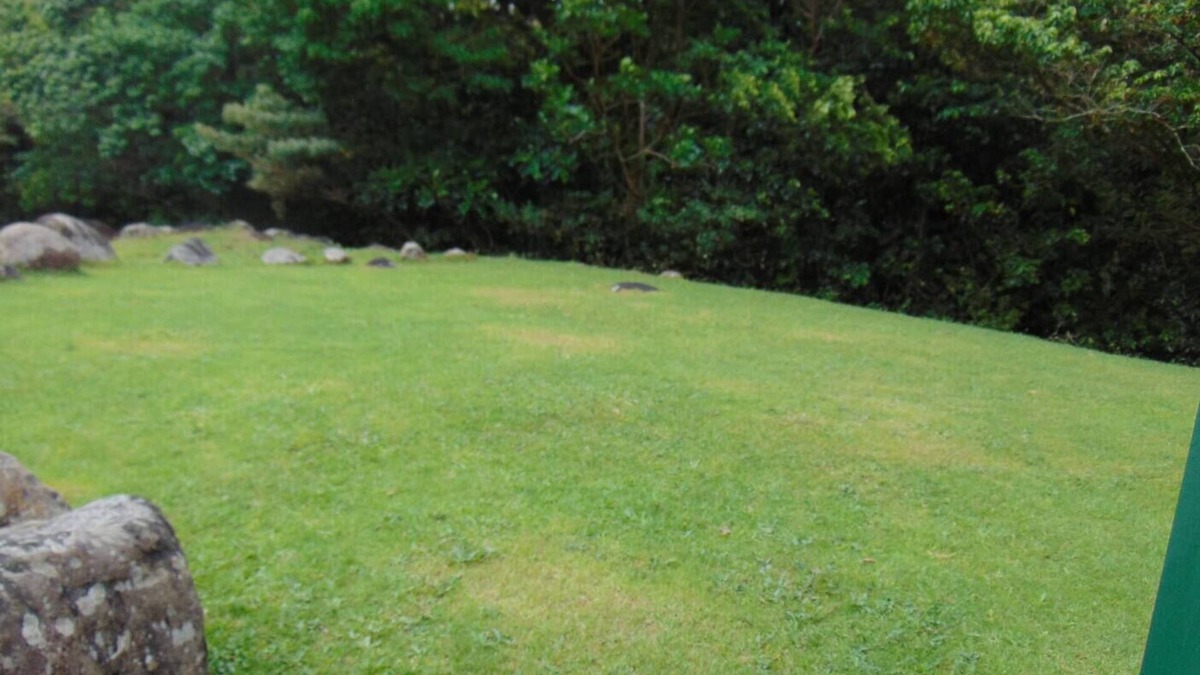 Tierras Morenas RV Rental | Camping and RV parking area 5