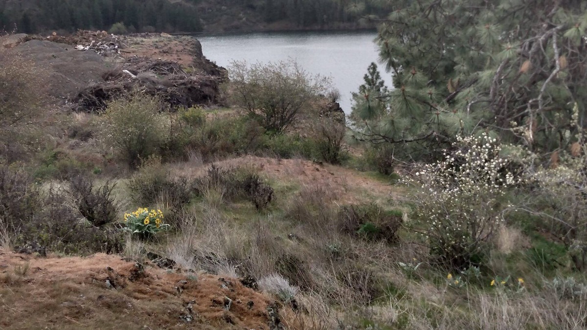 Cheney RV Rental | Camping at Williams Lake