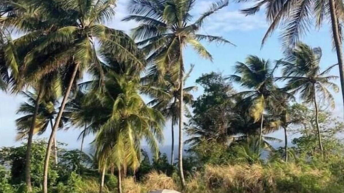 Newcastle RV Rental | Camping Barbados #1 Bring Your Own Tent