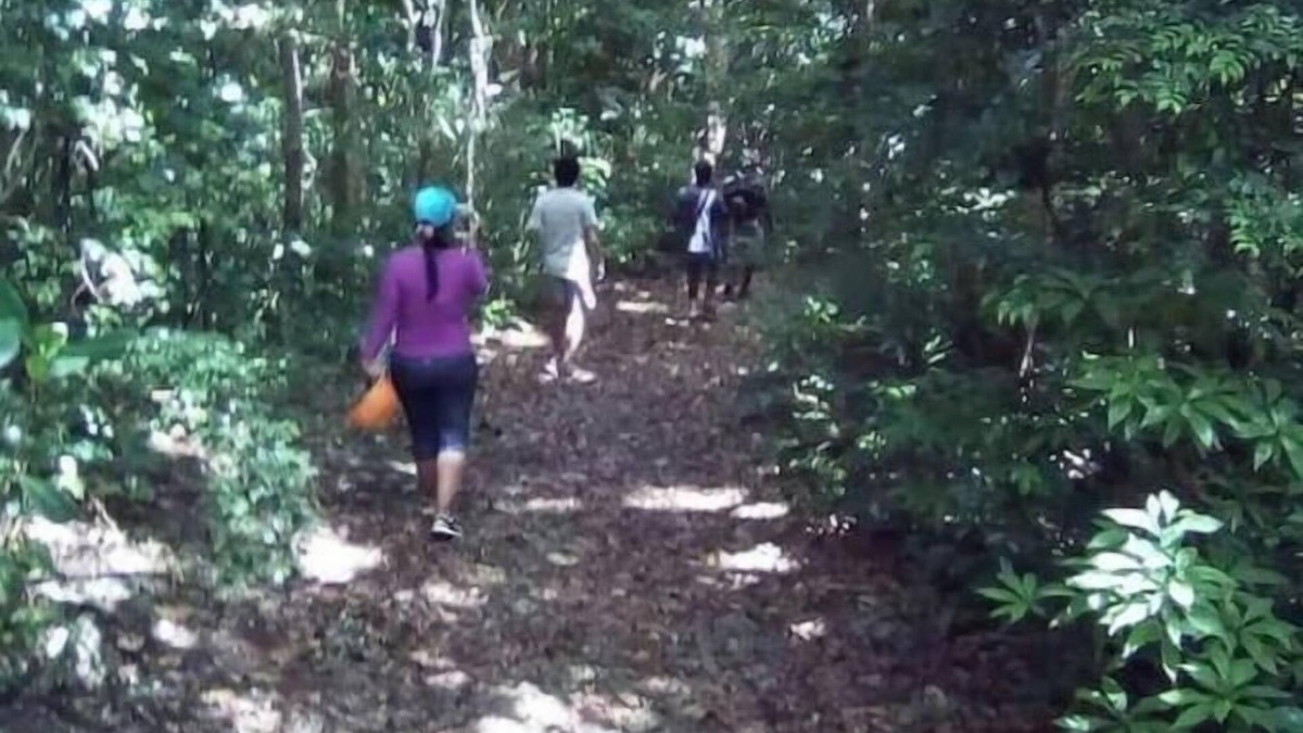 Newcastle RV Rental | Camping Barbados #2 Bring Your Own Tent