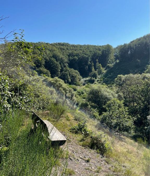 Utscheid Other | Camping Drei Spatzen