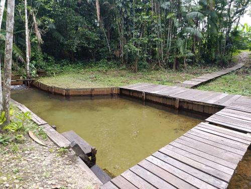 Castanhal Other | Camping em Castanhal para COP 30
