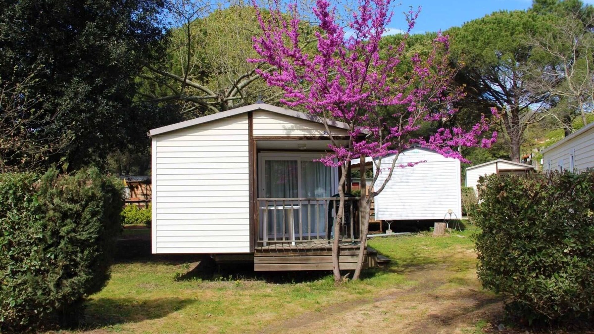 Saint-Jean-Pla-de-Corts House | Camping 3 étoiles - Piscine - cca0gbe