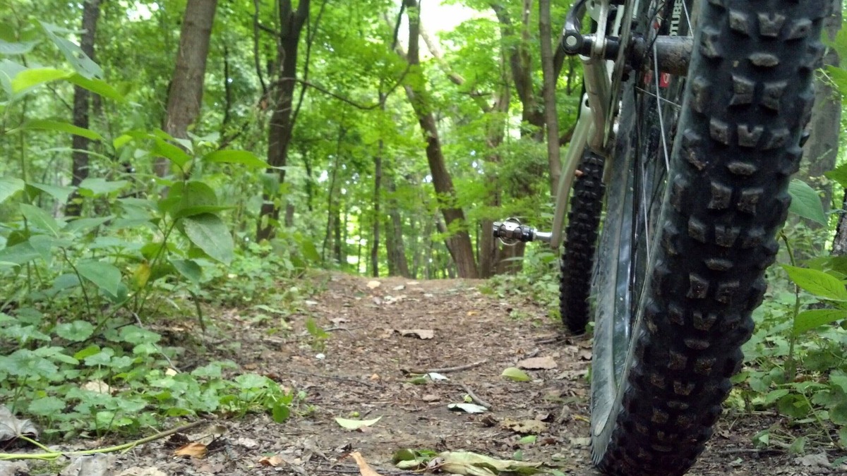 Normal RV Rental | Camping in comfort at Monte Sano