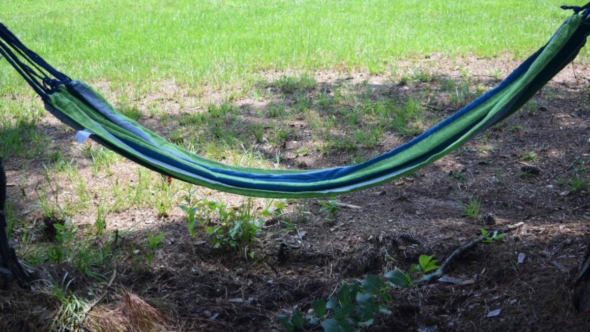 Kingstree RV Rental | Camping it is!