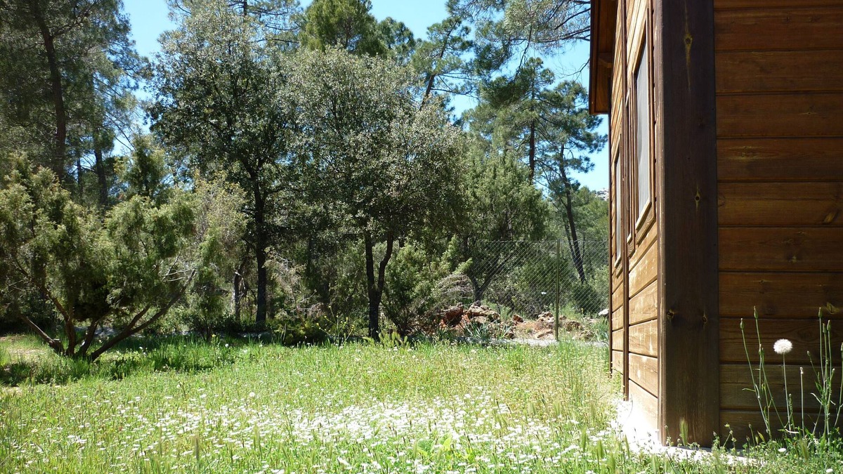 Campocamara House | Camping La Bolera located in the Natural Park of Cazorla, Segura and Las Villas.