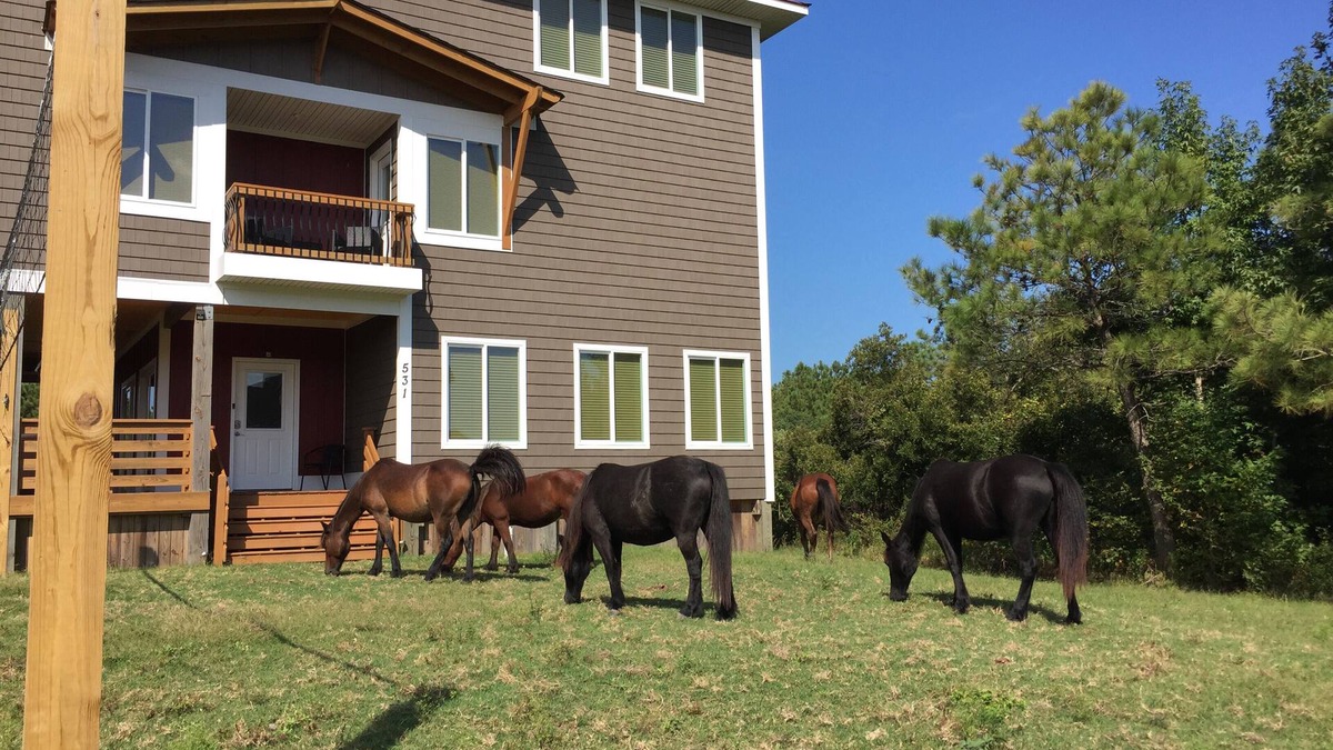 Carova Beach House | Canal front. 4WD area. Hot tub. Screened-in porch. Large deck. Game room.