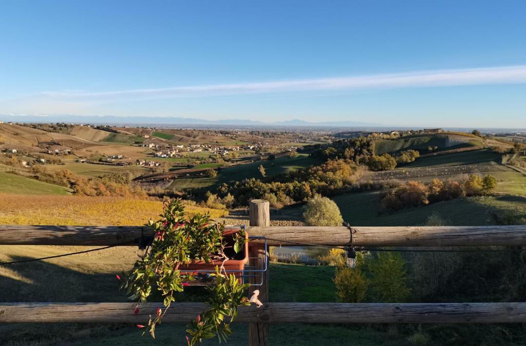 Vernasca House | Cantina Visconti - Agriturismo